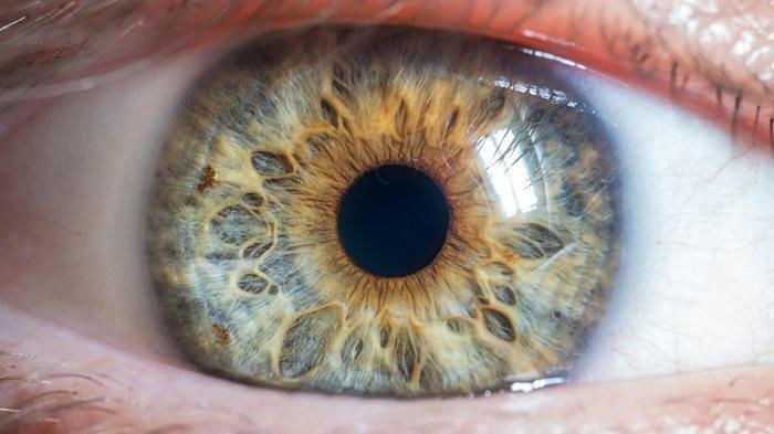 /COO/media/Media/Card images/STOCK CARD IMAGES/STOCK-BANNER-IMAGE-close-up-hazel-eye.jpg